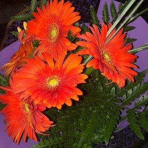 Meet your Posher, Cynthia